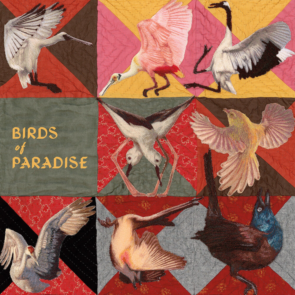 the album cover for Thomas Dollbaum - Birds Of Paradise [Pink]