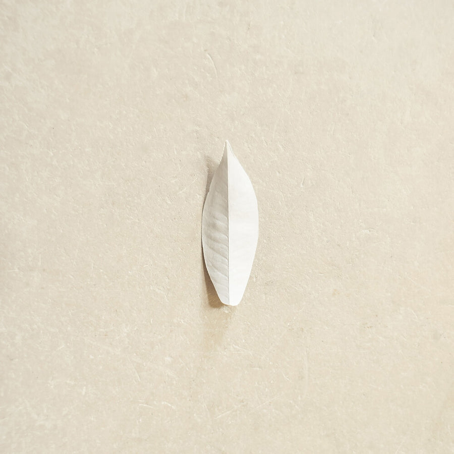 the album cover for Sylvain Chauveau - Complexity Of The Simple