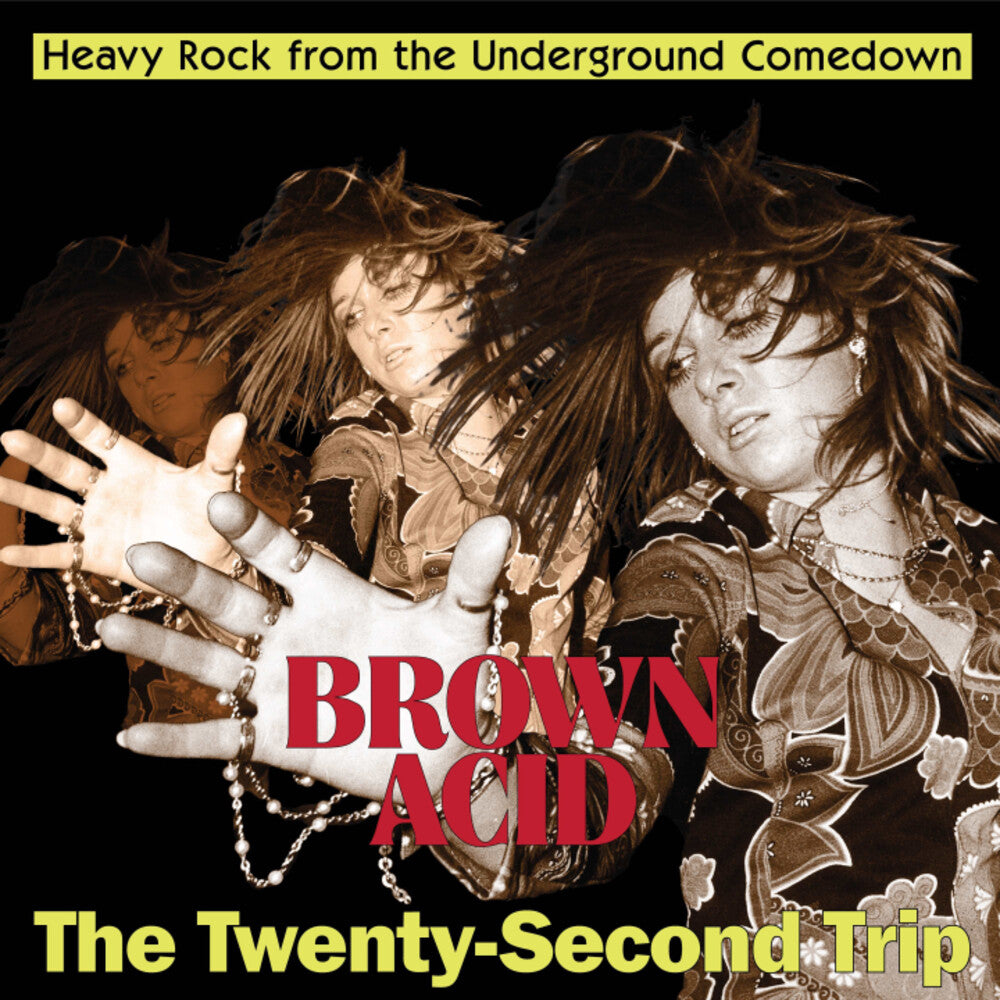 the album cover for Brown Acid - Twenty-Second Trip / Various - Brown Acid - The Twenty-Second Trip (Various Artists)