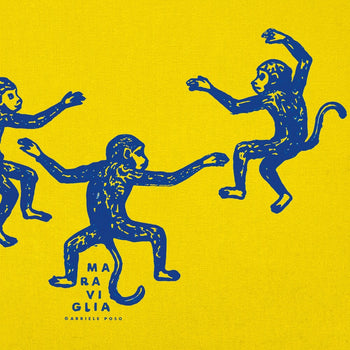 the album cover for Gabriele Poso - Maraviglia