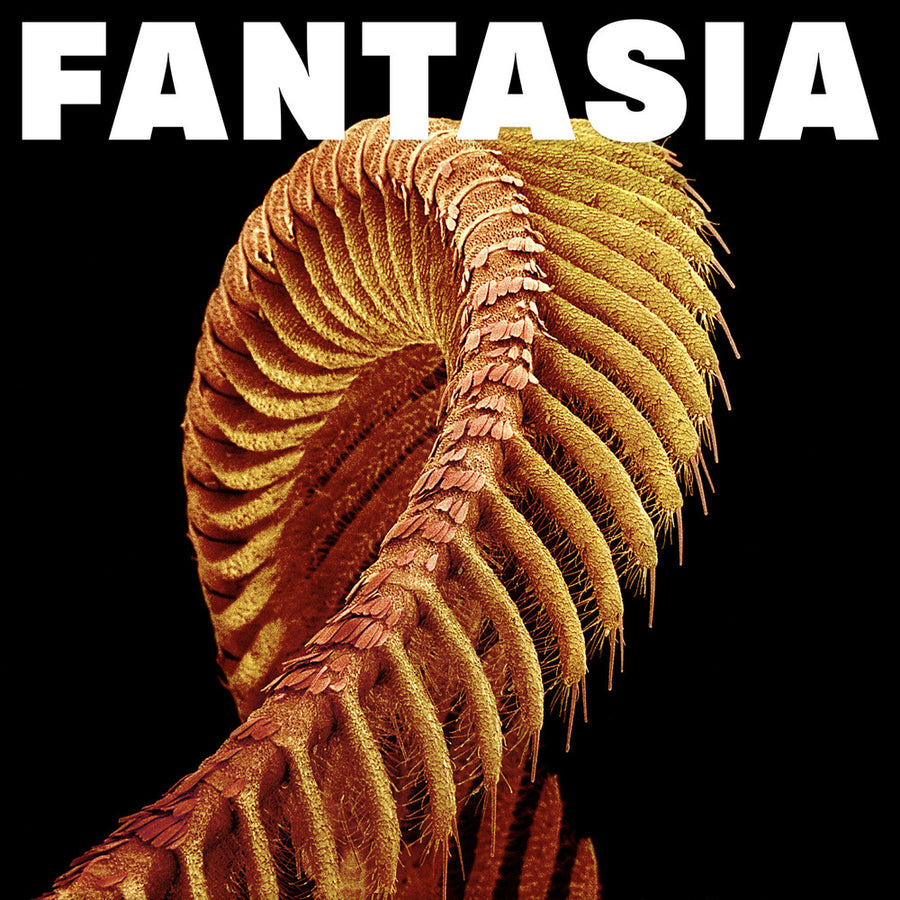 the album cover for SLIFT - Fantasia