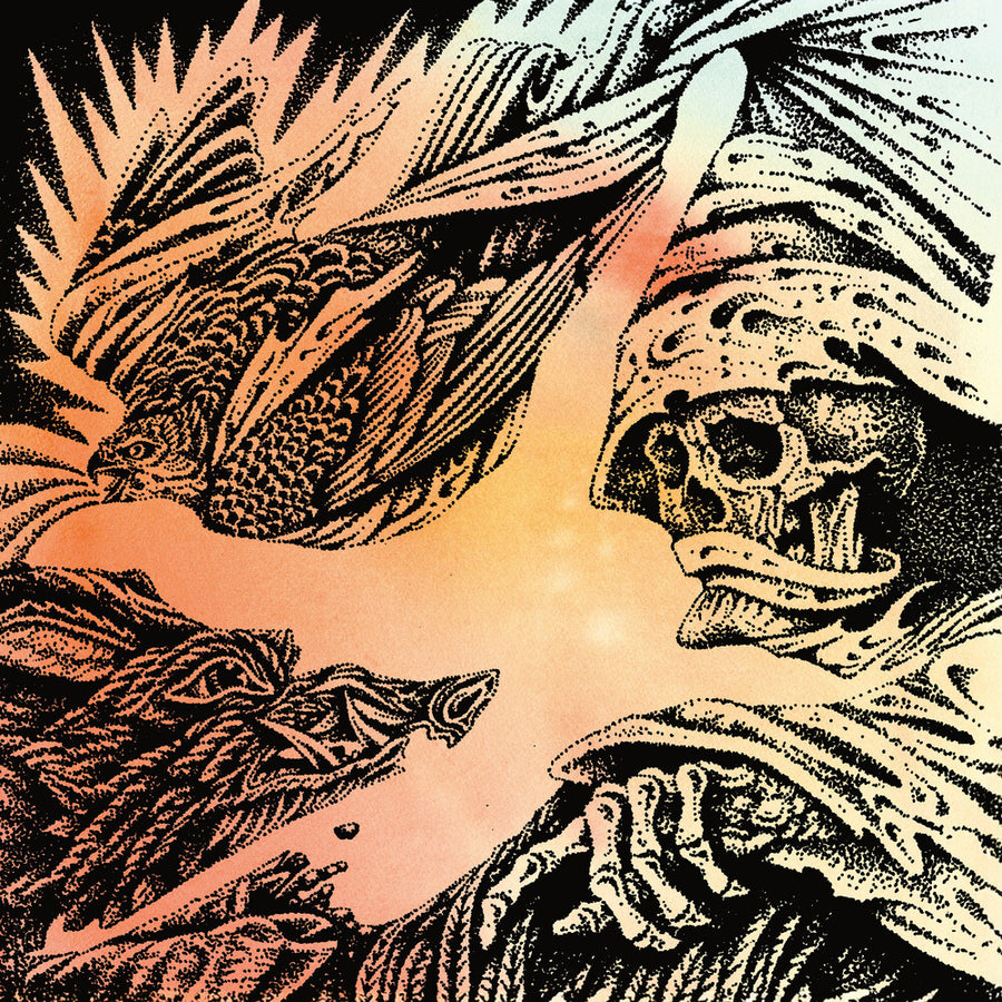 the album cover for Heavy Eyes - Focus