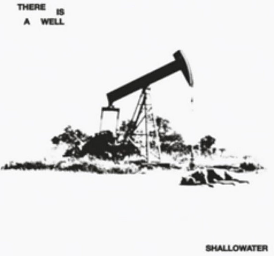 the album cover for Shallowater - There Is A Well [Colored Vinyl]