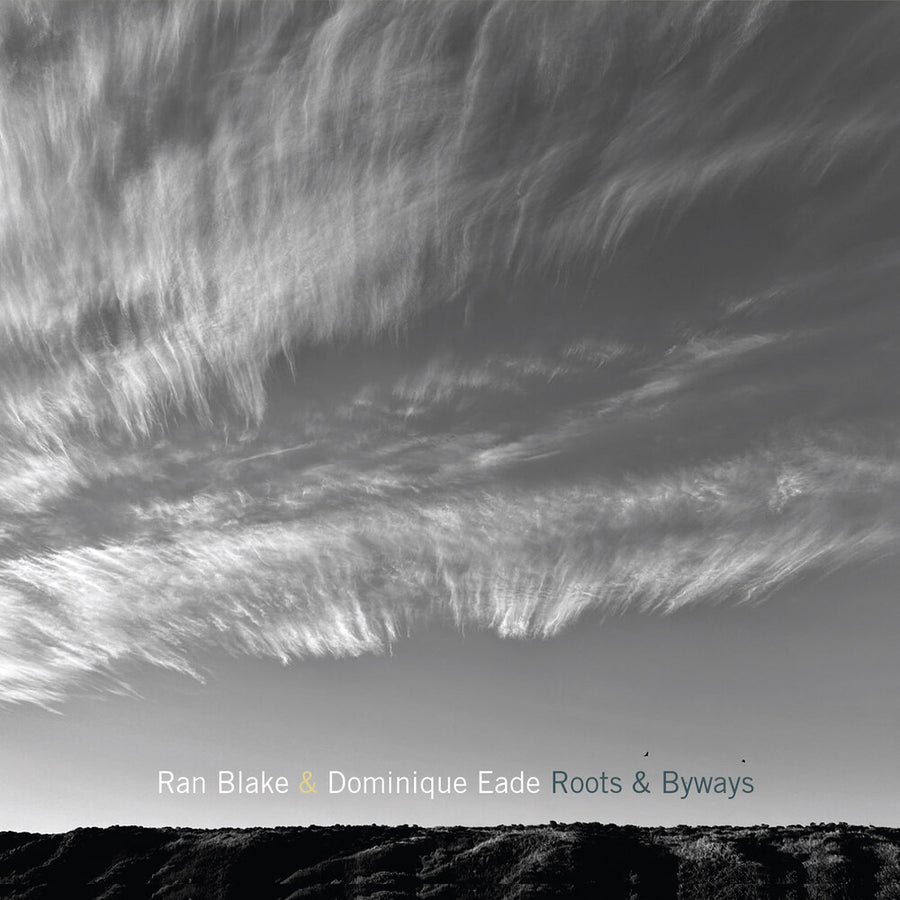the album cover for Ran Blake  / Eade,Dominique - Roots And Byways