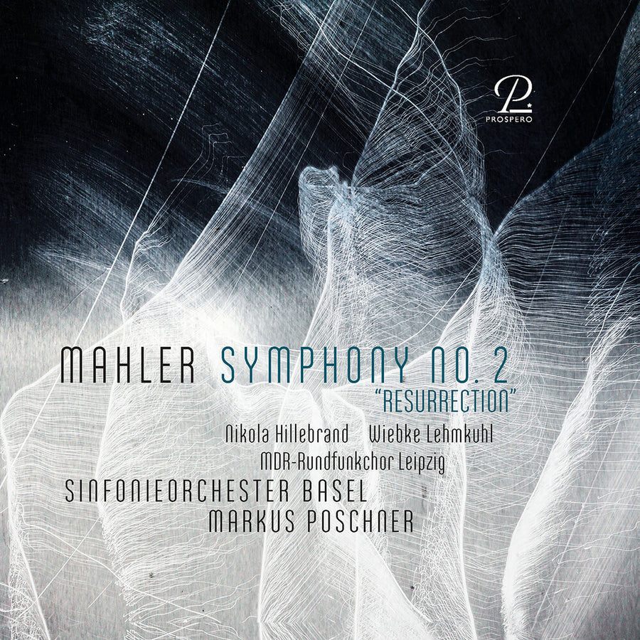 the album cover for Wiebke Lehmkuhl - Symphony No. 2