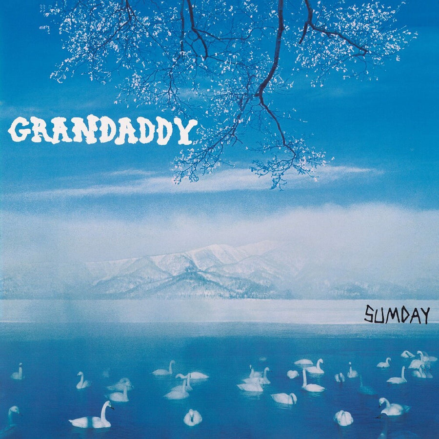 the album cover for Grandaddy - Sumday