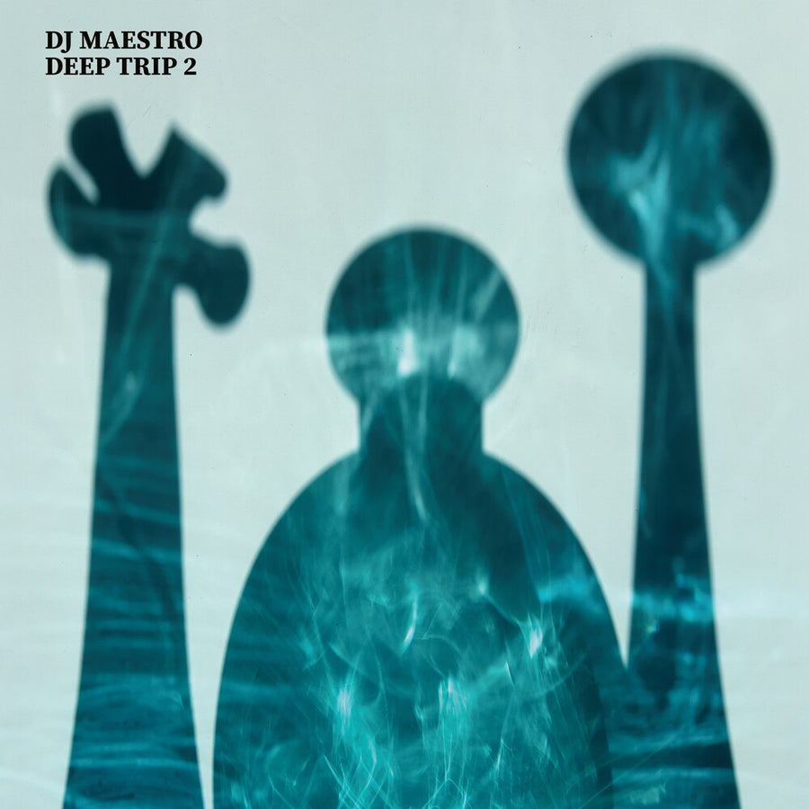 the album cover for Dj Maestro - Deep Trip 2