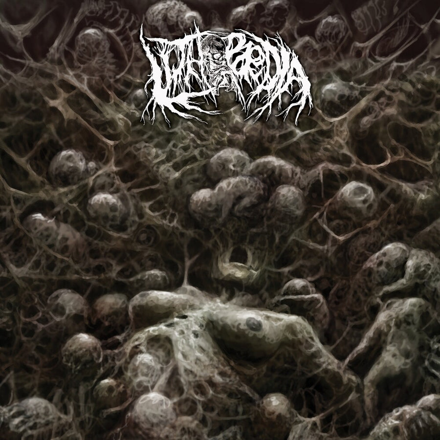 the album cover for Lithopaedia - Inferno