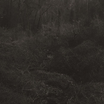 the album cover for Lesley Mok - Transient [Download Included]