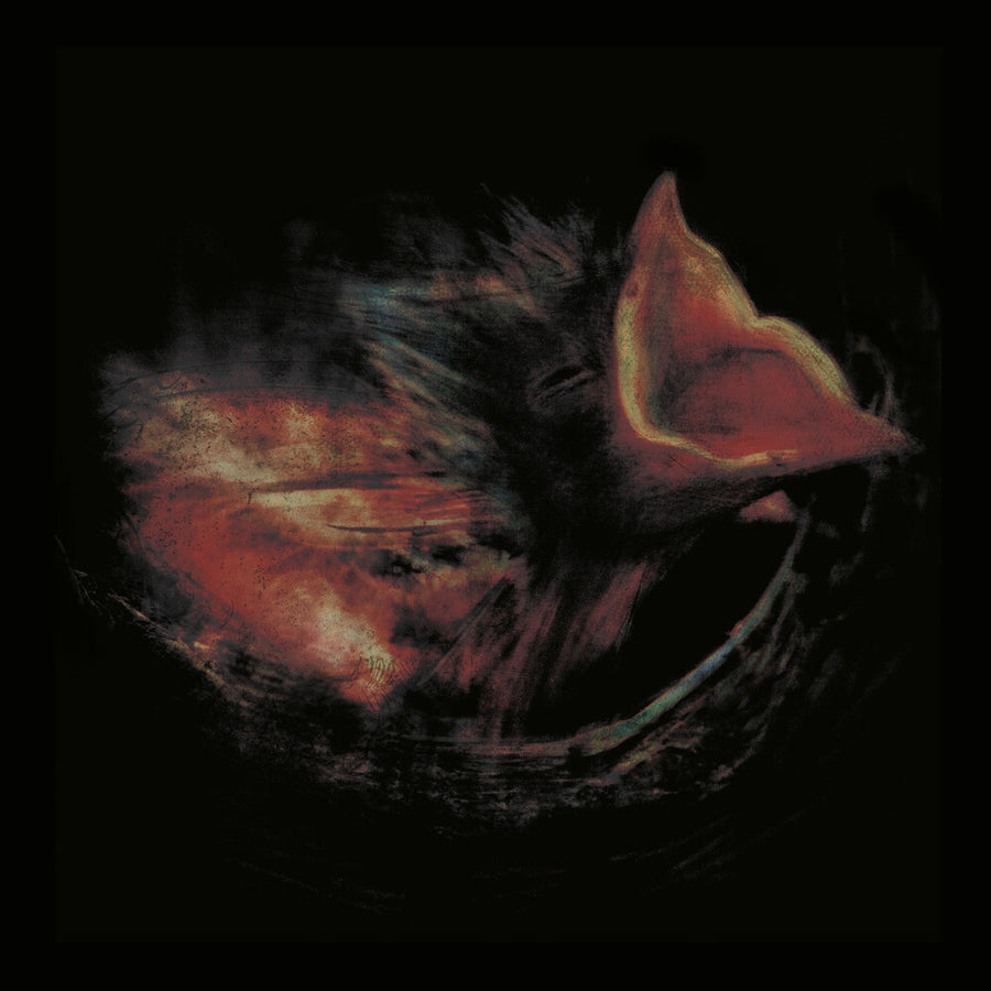 the album cover for Gurriers - Nobody's Coming To Save You [Black]
