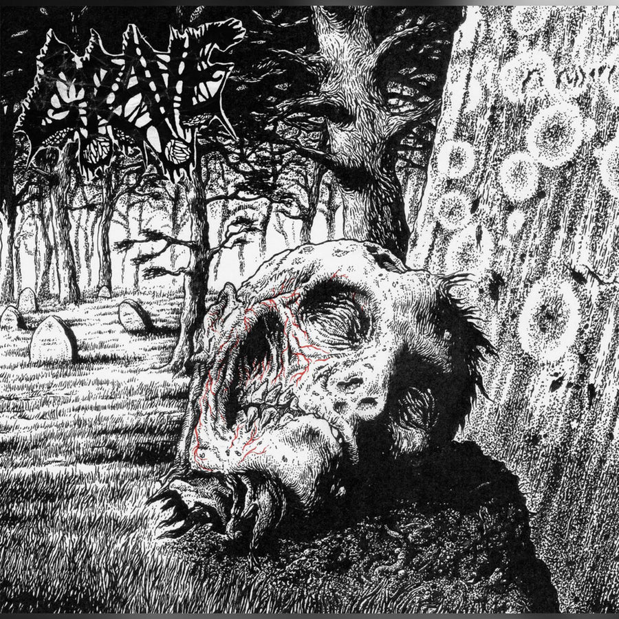 the album cover for Grave - Necropsy - the Complete Demo Recordings 1986-1991 (3lp/bone/black Vinylbone W/black Splatter Vinyl)
