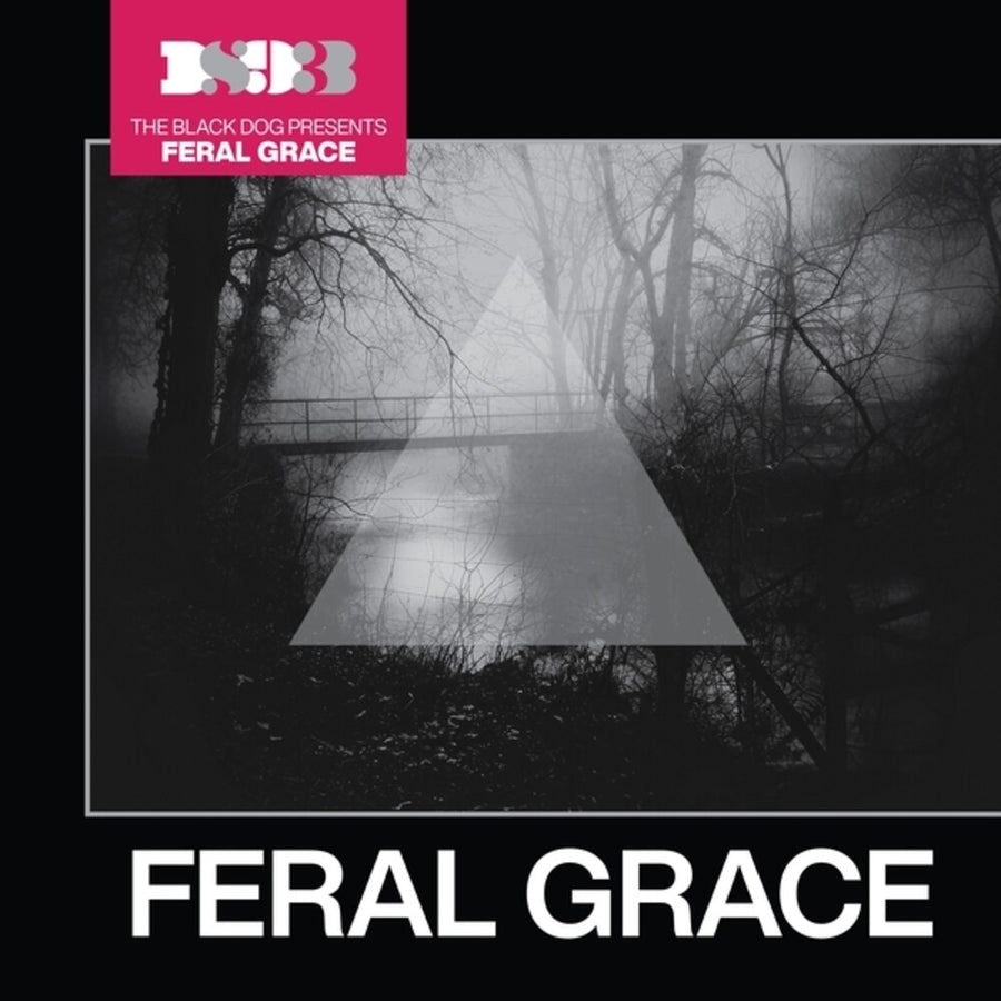 the album cover for Black Dog - Feral Grace