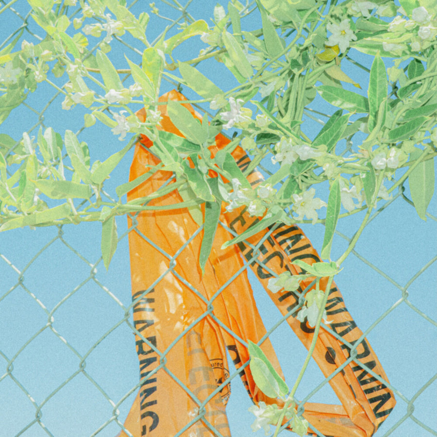 the album cover for Lockstep - I Know What I Saw