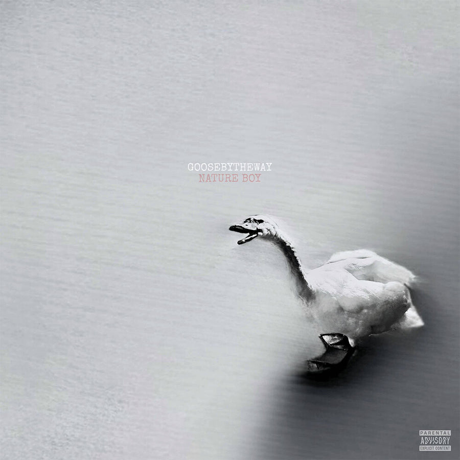 the album cover for Goosebytheway - Nature Boy [White]