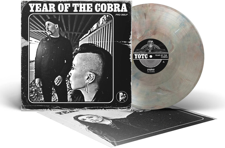 the album cover for Unknown Artist - Year of the Cobra