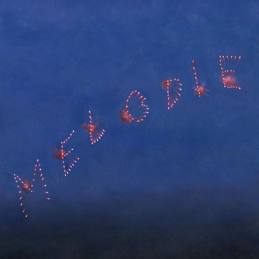 the album cover for Slow Pulp - Melodie [Indie Exclusive Clear Blue]