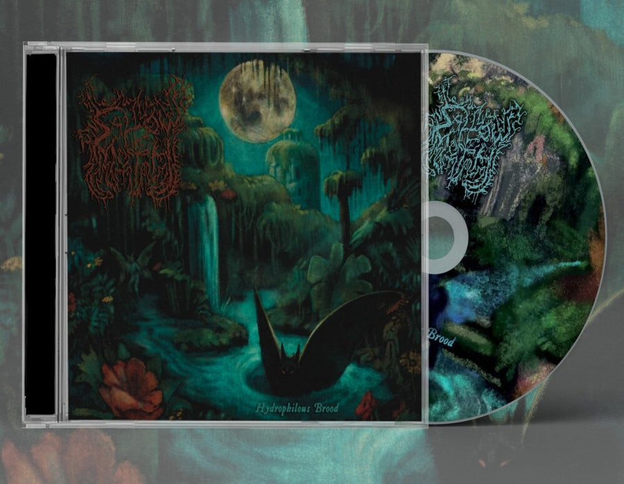 the album cover for Sallow Moth - Hydrophilous Brood