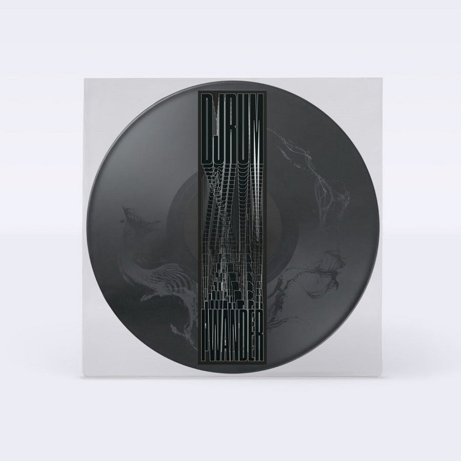 the album cover for Djrum - I Wander [Picture Disc]