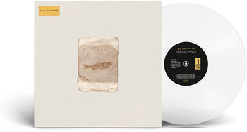 the album cover for Do Nothing - Friend World - Milky Clear [Clear Vinyl]