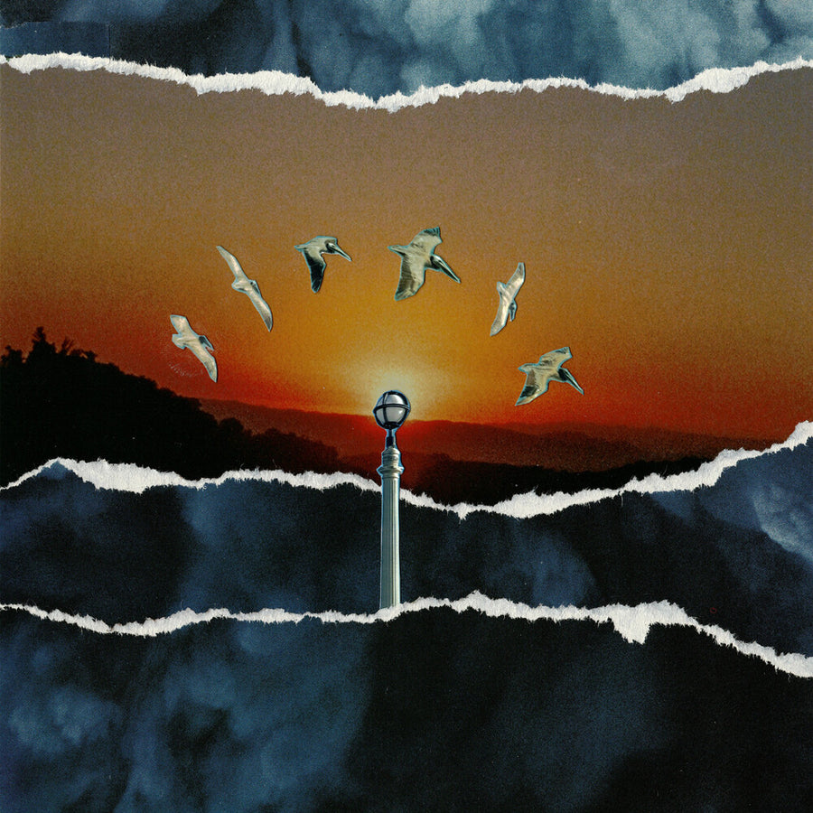 the album cover for Daisyhead - If You Find It Let Me Know [Colored Vinyl]