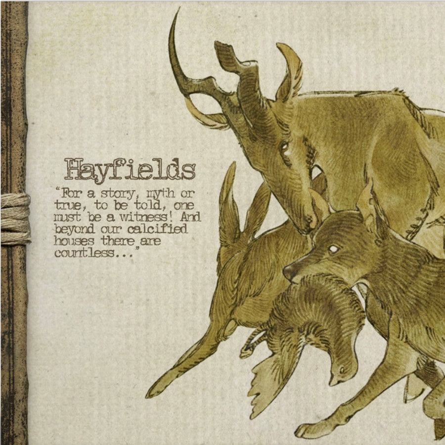the album cover for Yaelokre - Hayfields