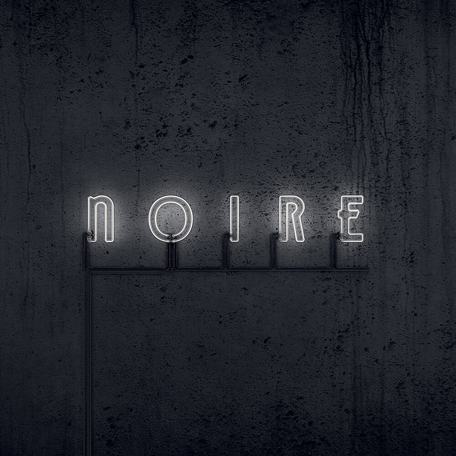 the album cover for Vnv Nation - Noire [Colored Vinyl] [Limited Edition] (Bice)