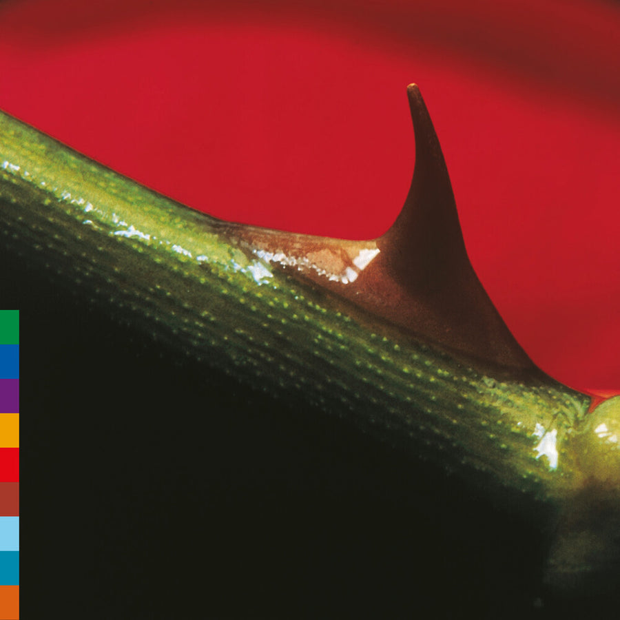 the album cover for Nusrat Khan  Fateh Ali / Brook,Michael - Night Song - Green [Colored Vinyl] (Grn) (Aniv) [Reissue]