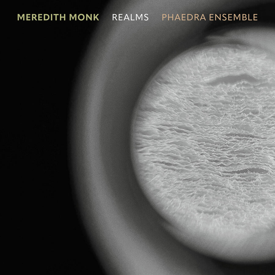 the album cover for Phaedra Ensemble - Realms