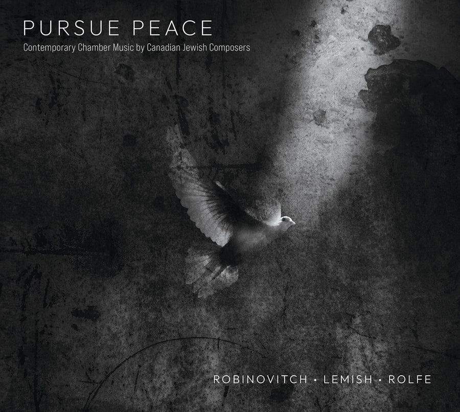 the album cover for Amy Hillis - Pursue Peace -Contemporary Chamber Music Canadian