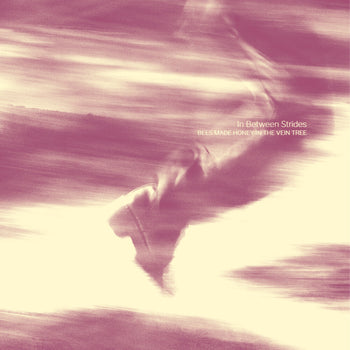the album cover for Bees Made Honey in the Vein Tree - In Between Strides [Digipak]