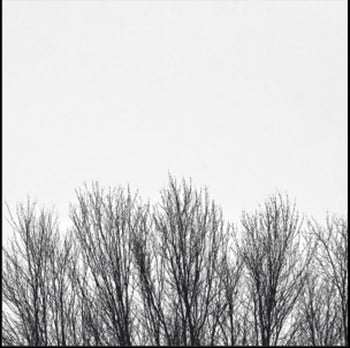 the album cover for Northwoods Improvisers - White Sky