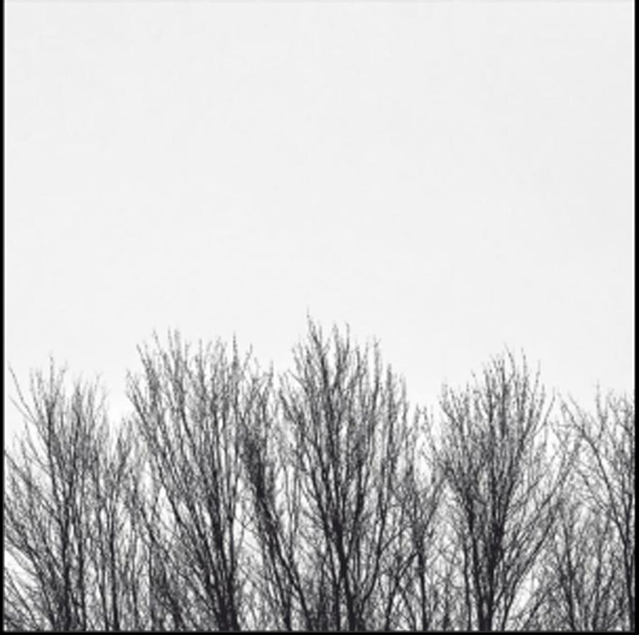 the album cover for Northwoods Improvisers - White Sky