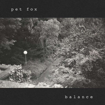 the album cover for Pet Fox - Balance - Cobweb [Colored Vinyl]