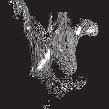 the album cover for Oceansize - Self Preserved While The Bodies Float Up