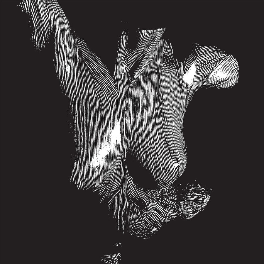 the album cover for Oceansize - Self Preserved While The Bodies Float Up