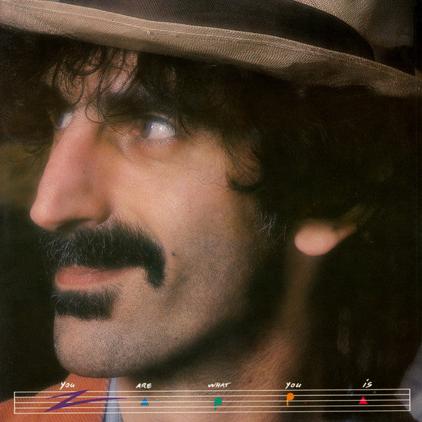 You Are What You Is - Zappa, Frank