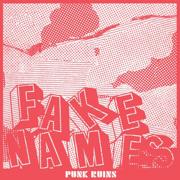 the album cover for Fake Names - Punk Ruins