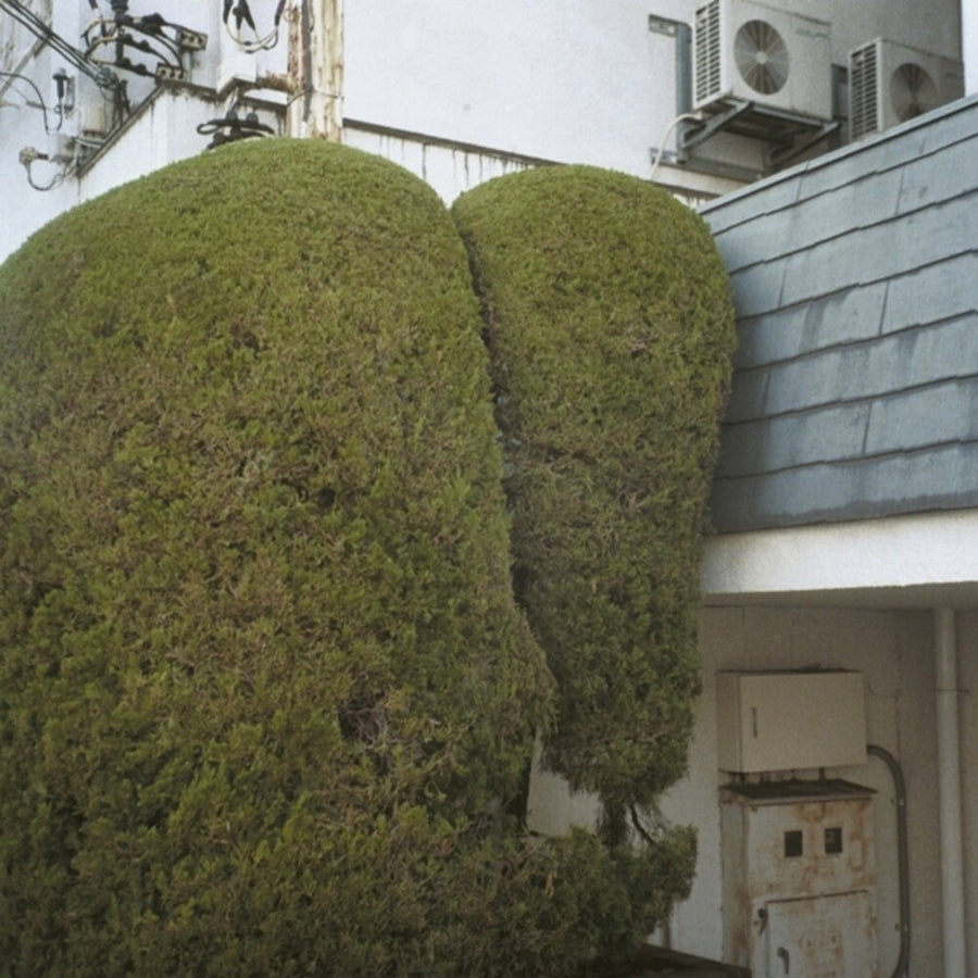 the album cover for Marja Ahti  / Mccowen,John - Errands