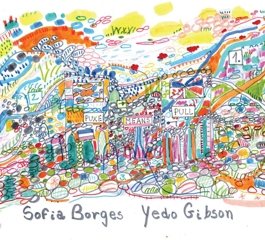 the album cover for Sofia Borges - Puxe Means Pull