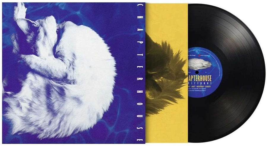 the album cover for Chapterhouse - Whirlpool (Blk) [180 Gram] (Hol)