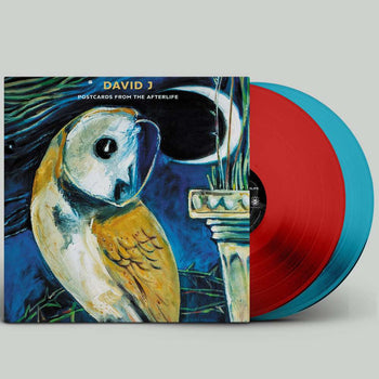 the album cover for David J - Postcards From The Afterlife [Colored Vinyl]