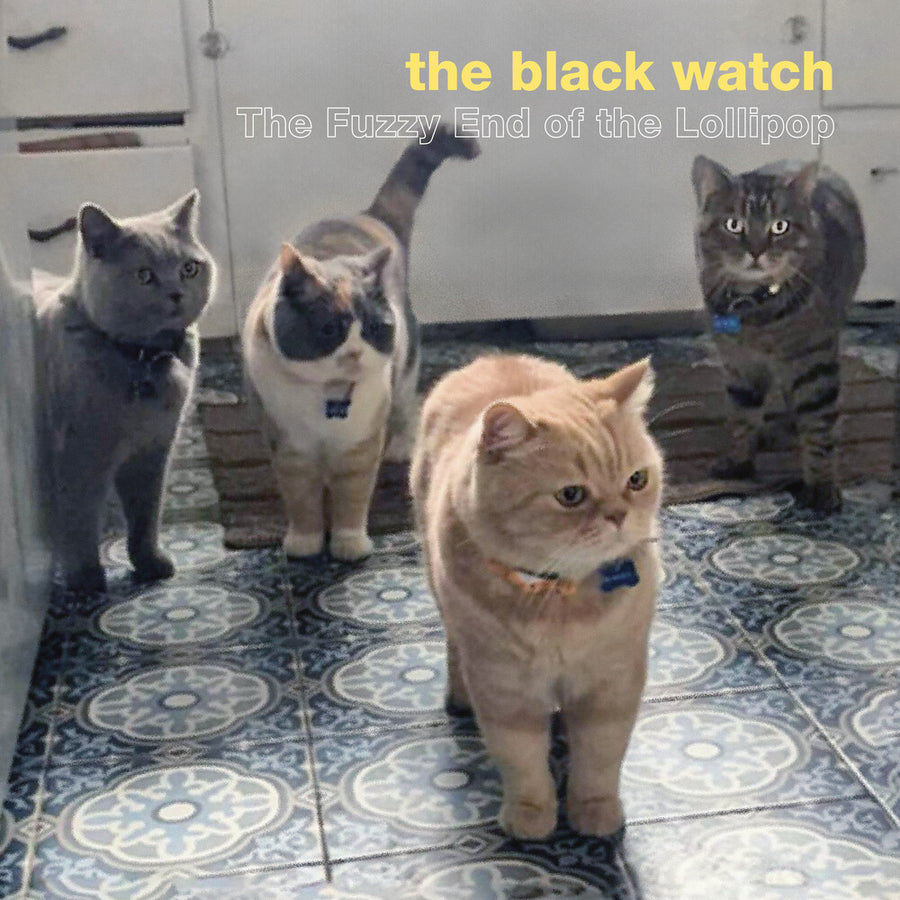 the album cover for Black Watch - Fuzzy End Of The Lollipop