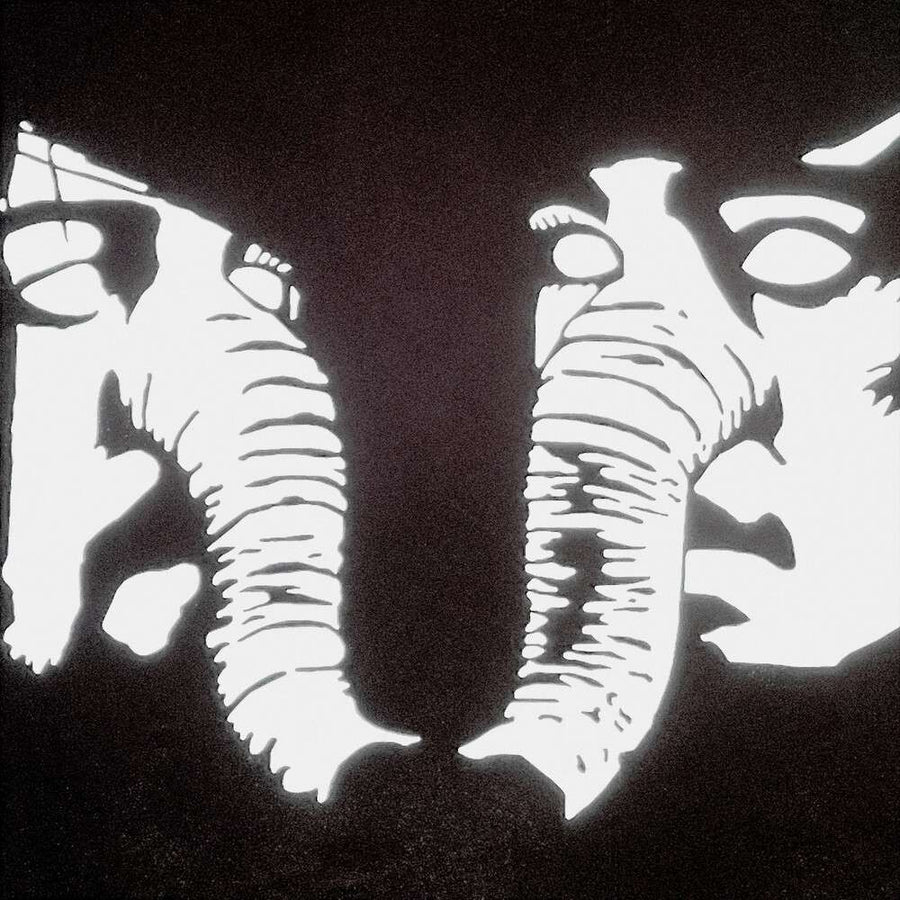 the album cover for Death From Above 1979 - Private Lives [Clear Vinyl] (Gol)