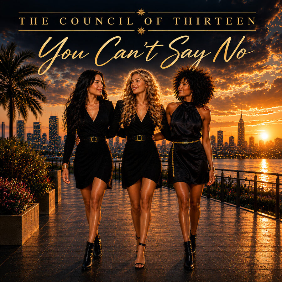 the album cover for Council Of Thirteen - You Can't Say No [Limited Edition]