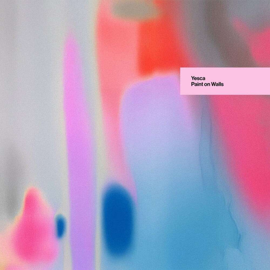 the album cover for Yesca - Paint On Walls