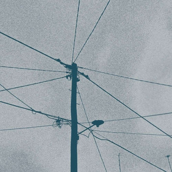the album cover for Werner Dafeldecker  / Eliad Wagner - Fray Field