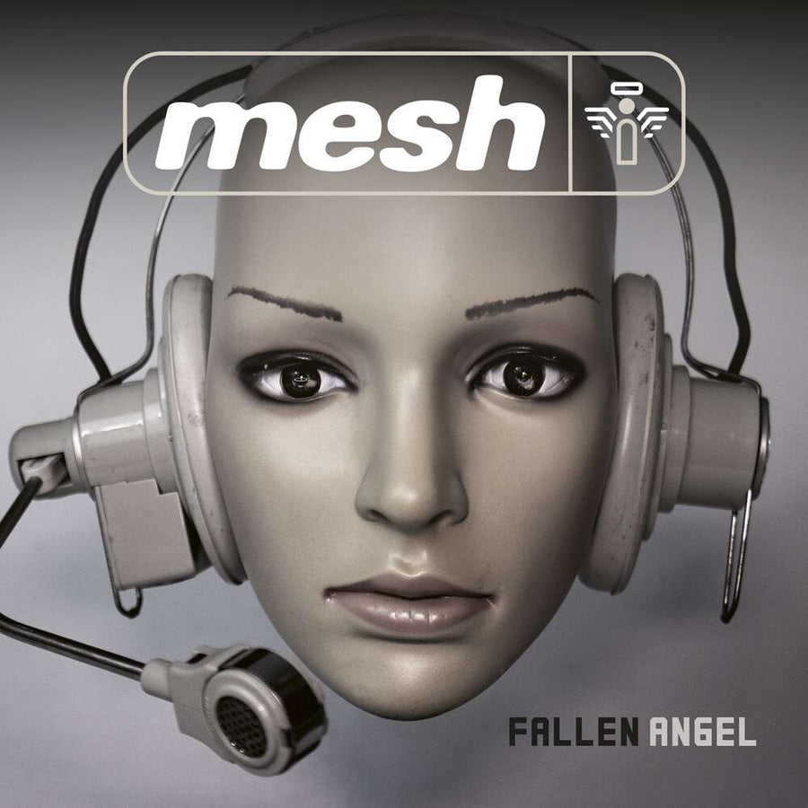 the album cover for Mesh - Fallen Angel