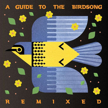 the album cover for Guide To The Birdsong Remixed / Various - Guide To The Birdsong Remixed / Various