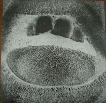 the album cover for Skullflower - Obsidian Shaking Codex [Deluxe]