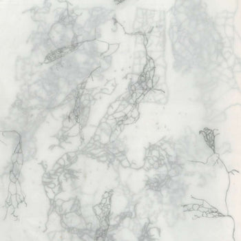 the album cover for Andy Guthrie - Rootless